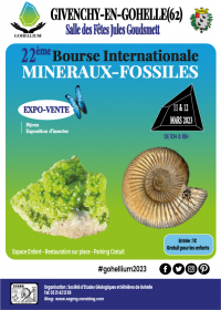 22nd International Gohellium Fossil Minerals Exchange 2023