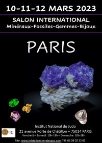 Minerals, Fossils, Gemstones Fair, Paris Institut du Judo