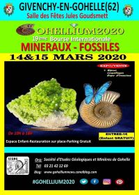 19th International Fossil Minerals Gohellium 2020 Exchange