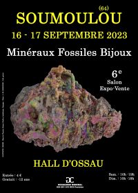 6th Soumoulou Fall Jewelry Fossil Minerals Fair