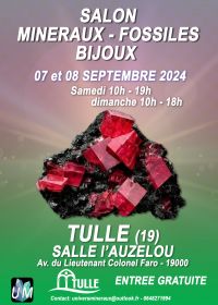 Minerals, fossils, designer jewelry exhibition.