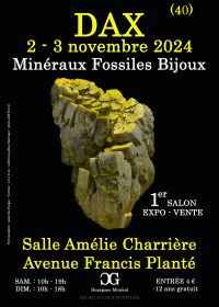 1st DAX MINERALS FOSSILS JEWELRY SHOW
