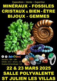 Minerals, Fossils, Crystals & Well-Being Jewelry and Gems Fair of Troyes