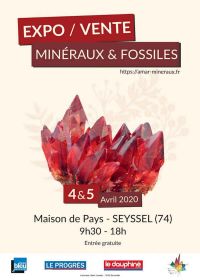 13th edition sale of minerals and fossils