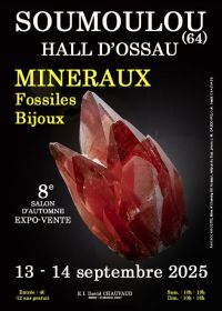 8th Autumn Minerals, Fossils, Jewelry Show