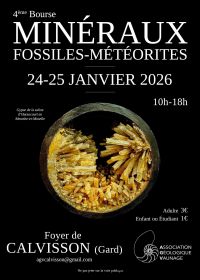 4th Mineral, Fossil and Meteorite Fair