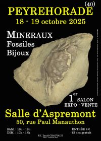 1st MINERALS FOSSILS JEWELRY SHOW