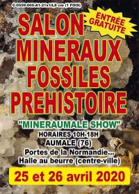 5th grant Prehistoric Minerals and Fossils Exhibition