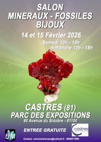 Minerals, fossils, and designer jewelry show.