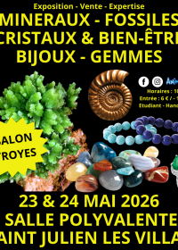2nd Troyes Minerals and Fossils Fair