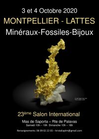International Exchange Minerals Fossils cut stones Lattes Montpellier