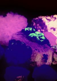 Fluorescent Minerals: When Stones Glow in the Dark Different fluorescent minerals Fluorescent Minerals: When Stones Glow in the Dark Different fluorescent minerals