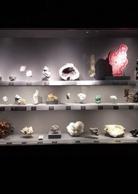 Geology and Mineralogy Gallery of the Jardin des Plantes in Paris Museum national histoire naturelle
