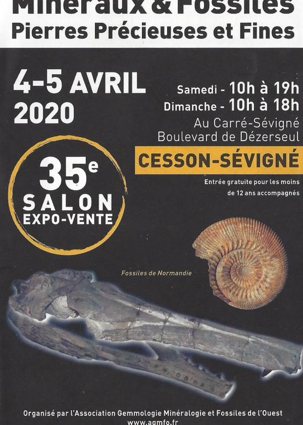 35th Fossil Minerals show