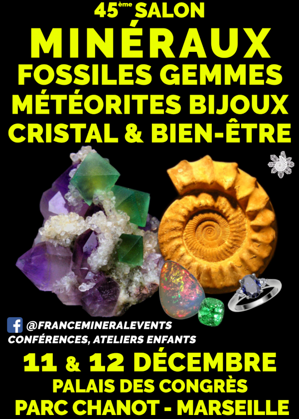 45th Mineral Fair Event Marseille - Minerals, Fossils, Gems, Jewelry, Crystal & Well-being