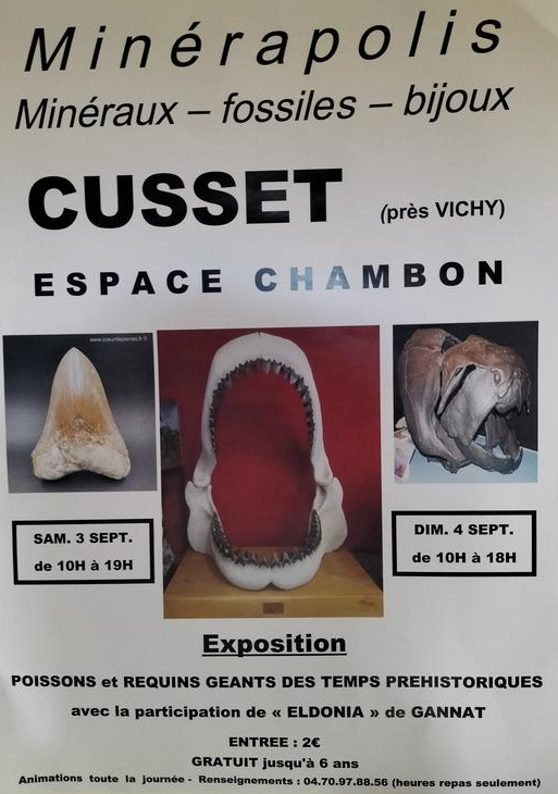 MINERAPOLIS exhibition of fossils, minerals and jewelry