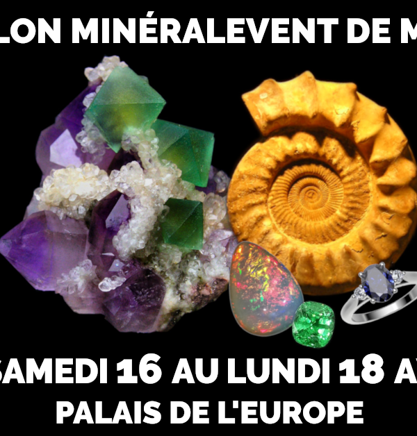 20th Minéral Event Menton - Minerals, Fossils, Gems, Jewellery, Crystal & Well-being