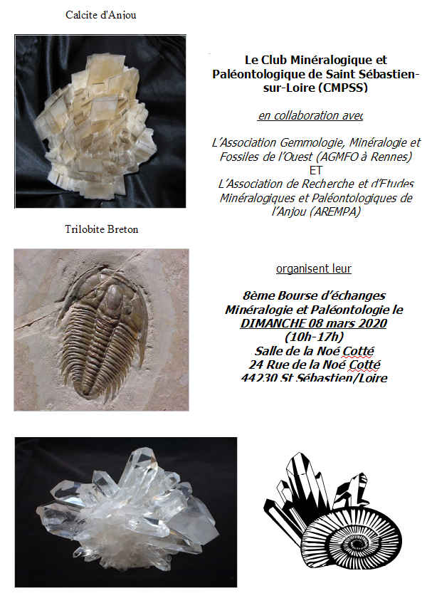 8th Minerals and Fossils Exchange