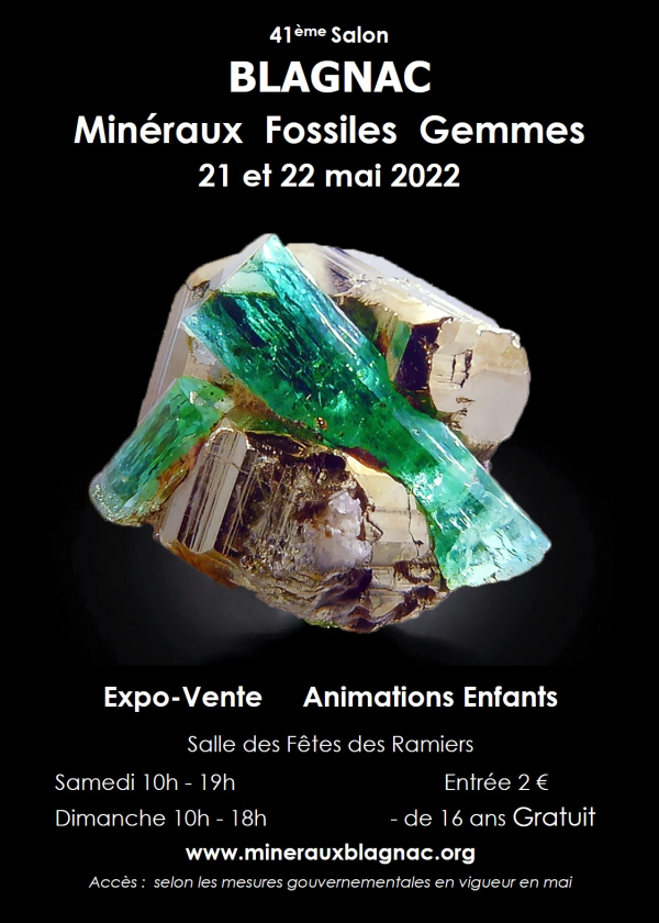 42nd Minerals and Fossils Fellowship