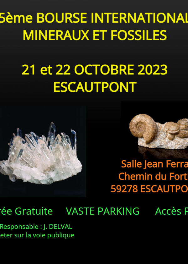 25th International Minerals and Fossils Exchange