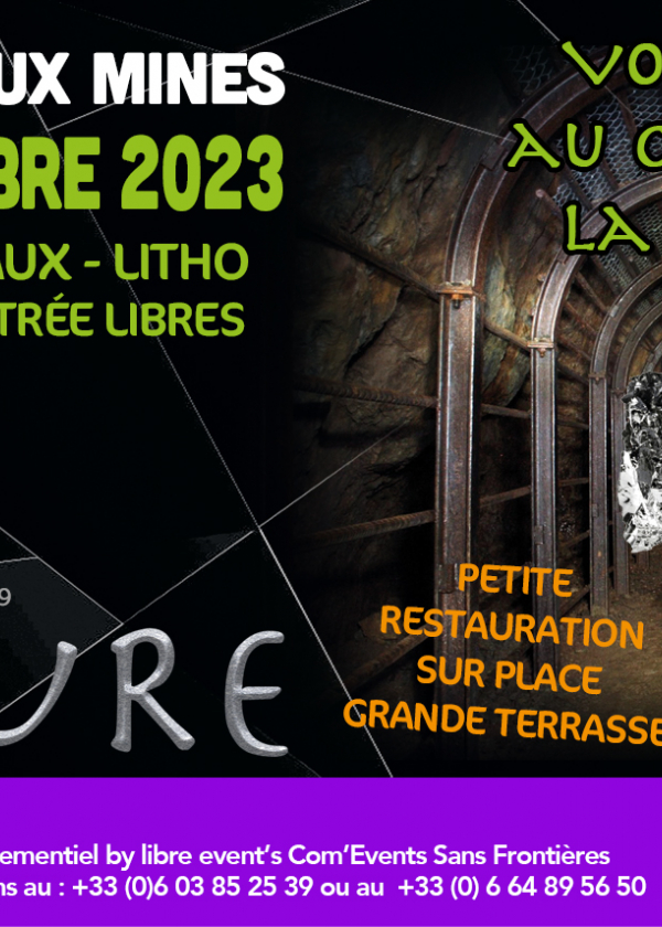 7th European sale of minerals and litho