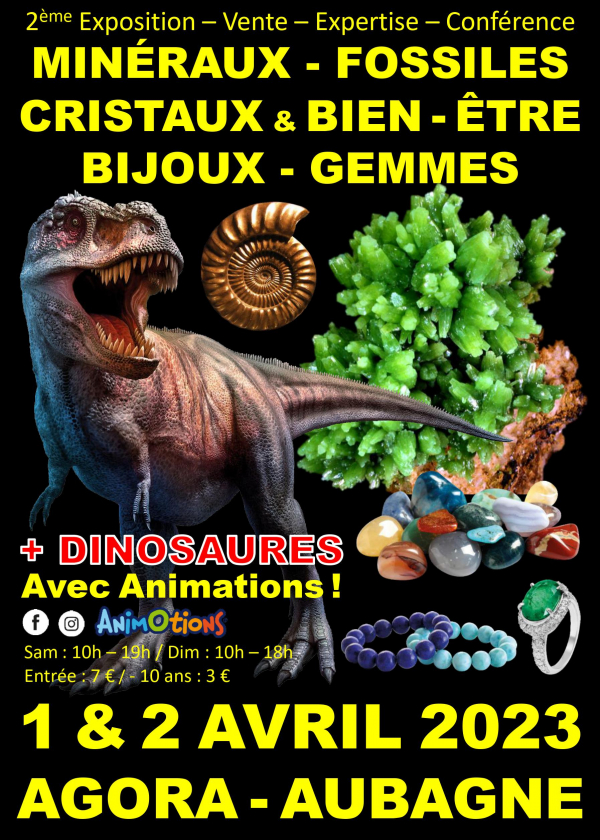 2nd Fossil Minerals Crystals Fair