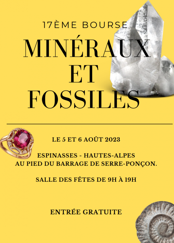 Minerals and Fossils Fair