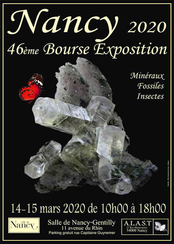 46th stock exchange exhibition of fossil minerals and insects
