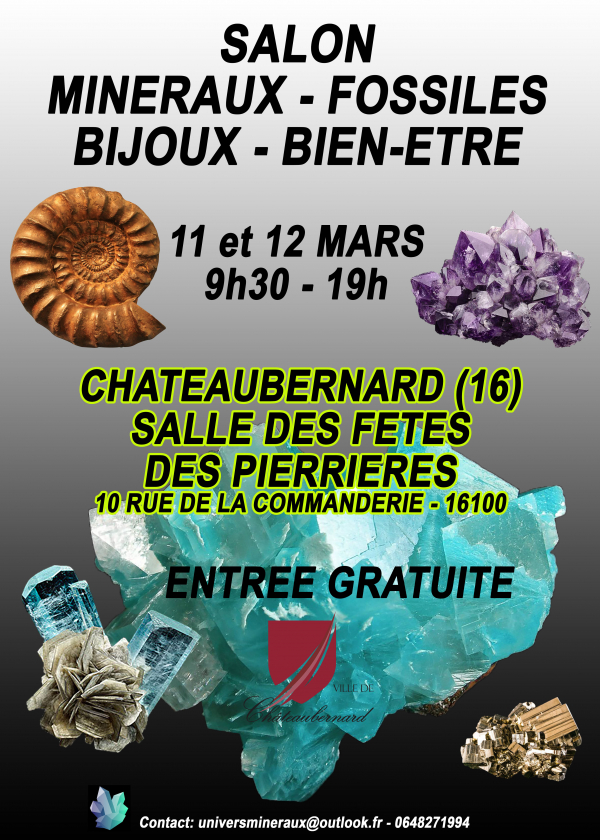 Minerals, Fossils, Jewellery, Wellness Fair