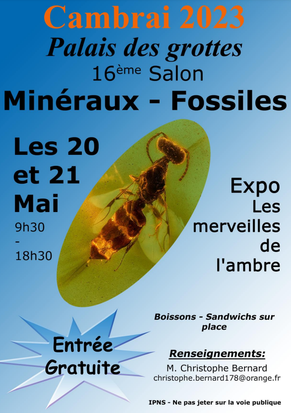 17th AGC Minerals and Fossils Fair. Free admission from 9:30 a.m. to 6:30 p.m.