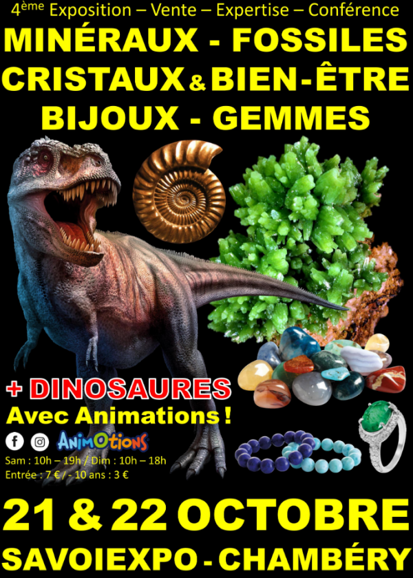 4th Fossil Minerals Crystals & Well-Being Fair