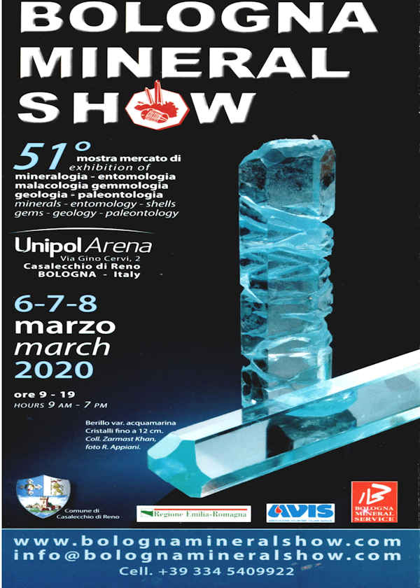 51st Bologna mineral show 2020