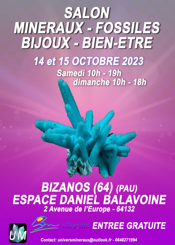 Minerals, fossils, designer jewelry and well-being fair.