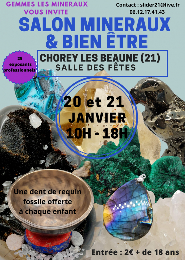 Minerals, fossils, meteorites and well-being show