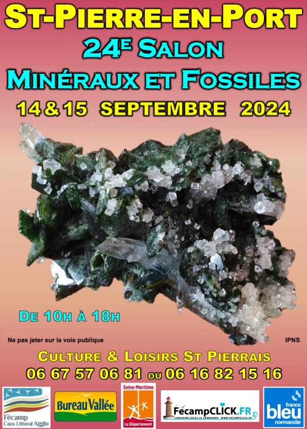 24 EME Minerals and fossils exchange of Saint Pierre en Port