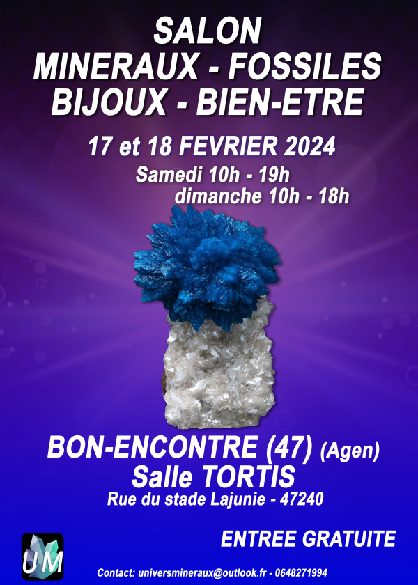 Minerals, fossils, designer jewelry and well-being fair.