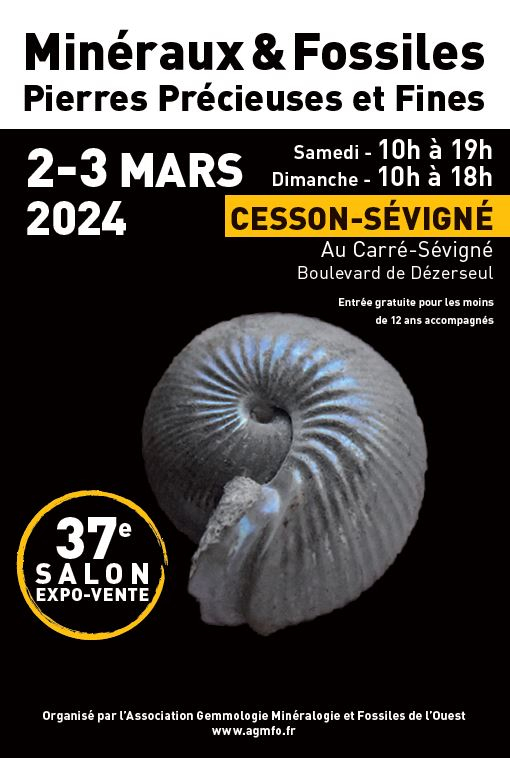 37th AGMFO Minerals Show