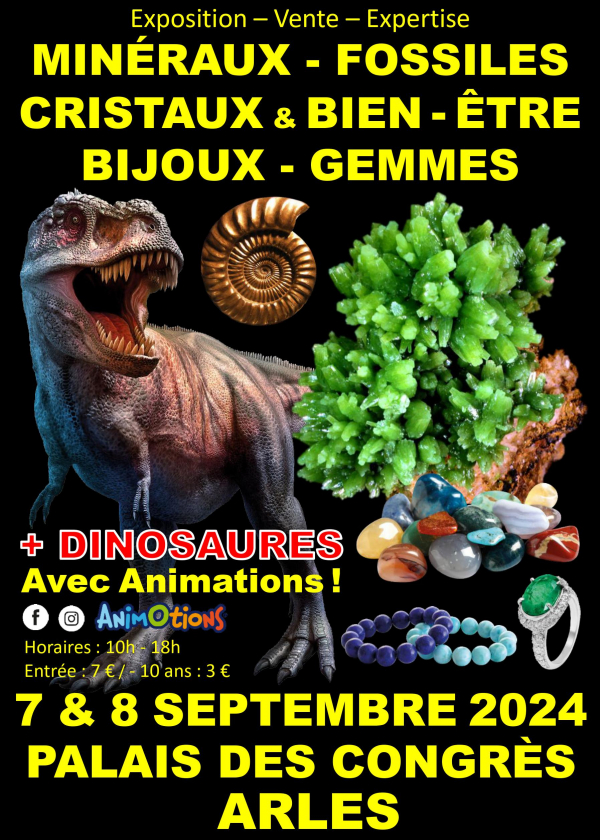 Minerals Fossils Crystals & Well-being Show Jewelry and Gems + Dinosaur Exhibition