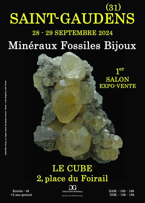 1st SAINT-GAUDENS MINERALS FOSSILS JEWELRY SHOW