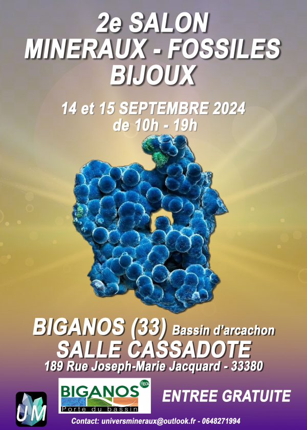 Minerals, Fossils, Designer Jewelry Show