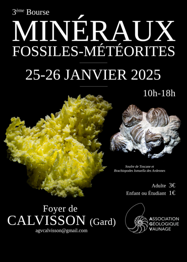 3rd fossil minerals and meteorites exchange