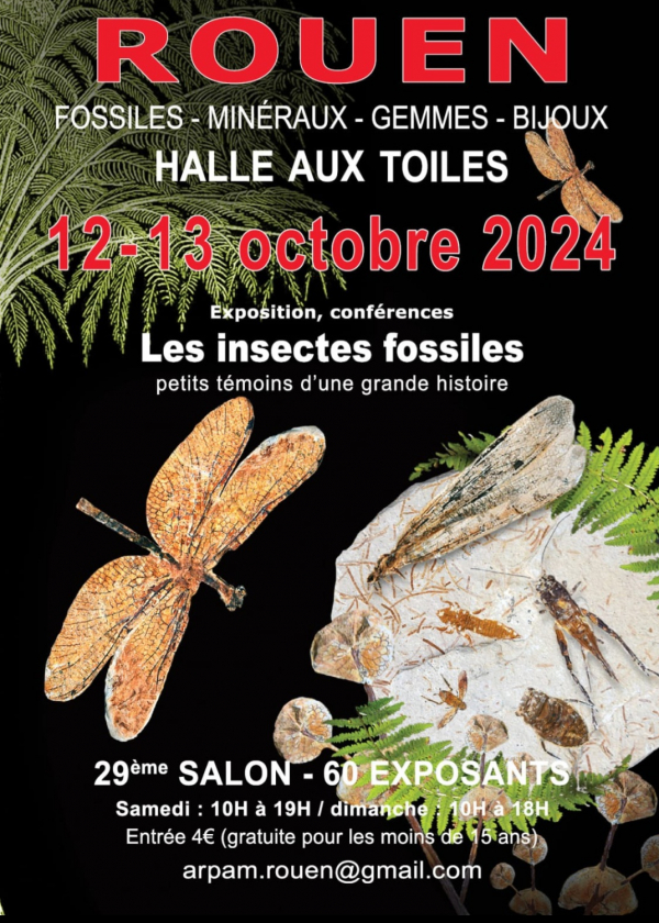 29th Rouen International Exhibition 2024 Fossils, Minerals, Gems & Jewelry