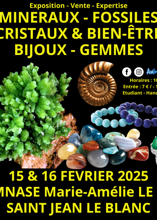 45th Minerals, Fossils, Crystals & Well-Being Jewelry and Gems Exhibition