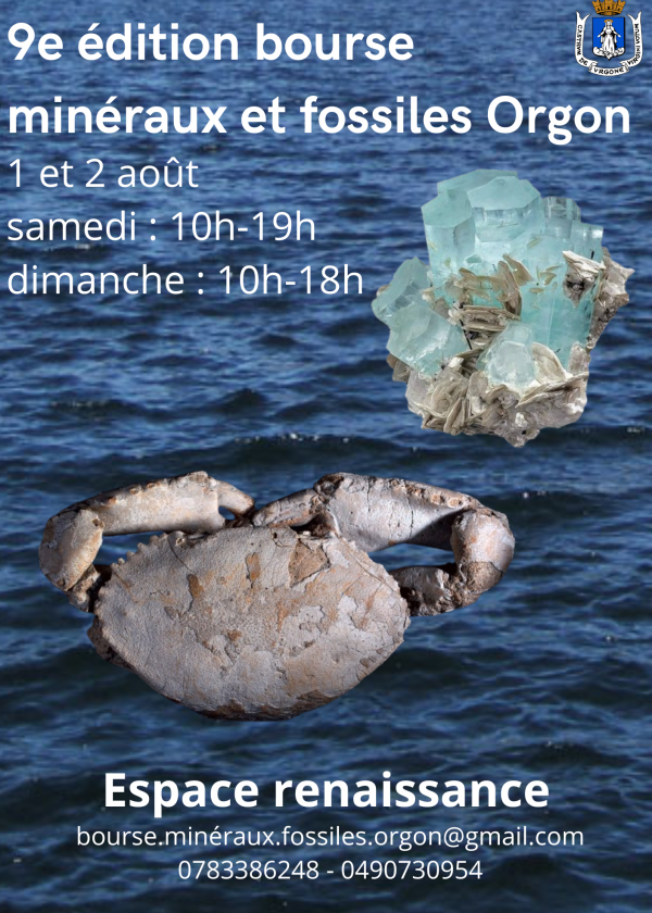 9th minerals fossils jewelry meteorites exchange