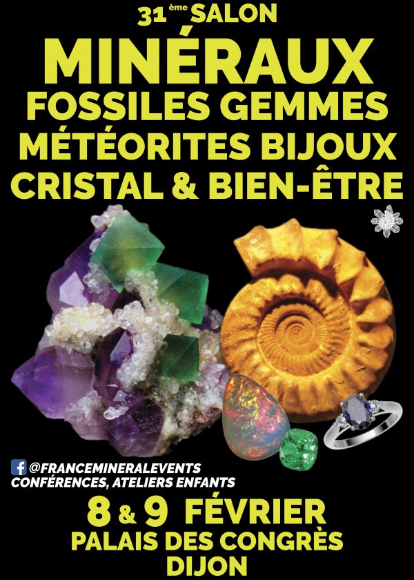 31st MineralEvent Dijon Exhibition