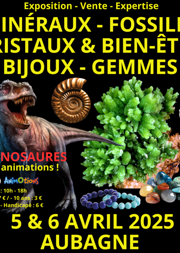 4th Minerals, Fossils, Crystals, Well-Being, Jewelry and Gems Exhibition