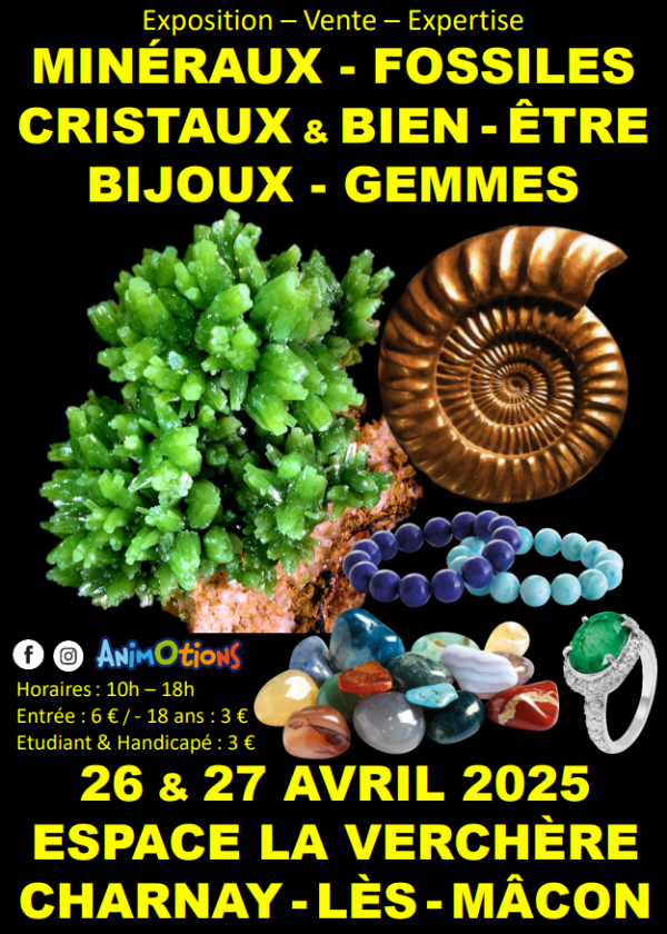 Minerals, Fossils, Crystals & Well-Being, Jewelry and Gems Fair