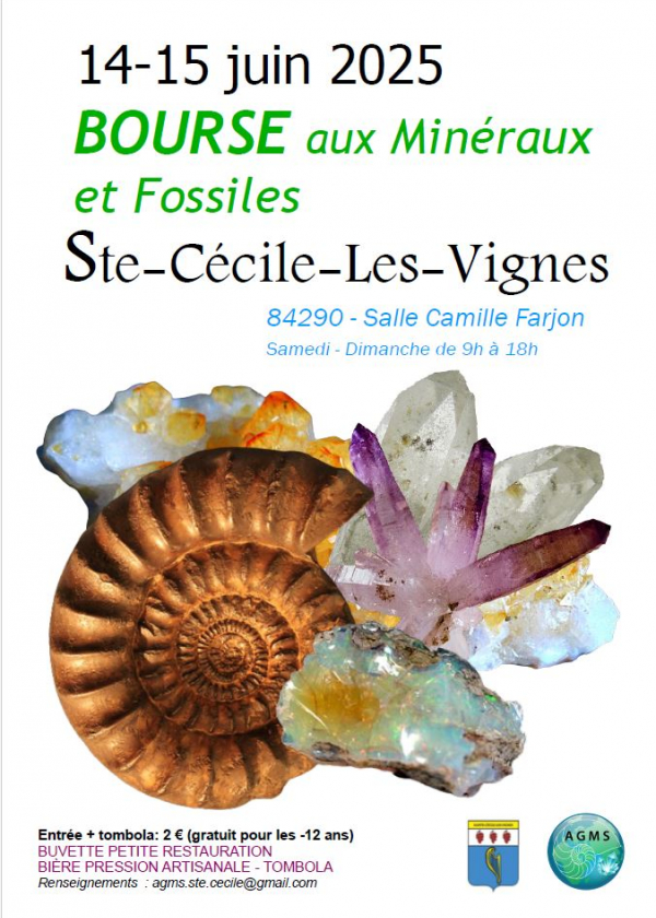 Mineral and Fossil Exchange