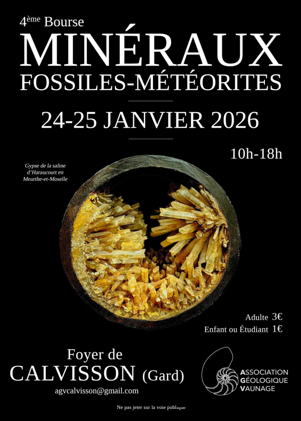 4th Mineral, Fossil and Meteorite Fair
