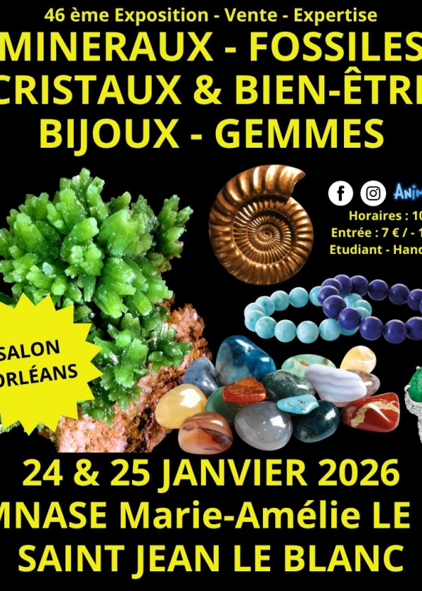 46th Minerals, Fossils and Gems Fair